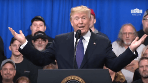 Trump calls Congressional Leaders Treasonous